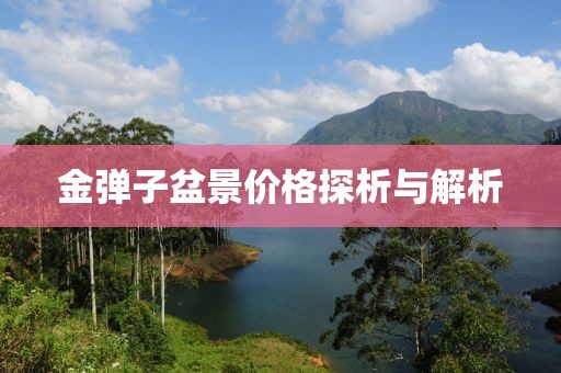 金弹子盆景价格探析与解析