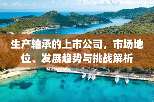 生产轴承的上市公司，市场地位、发展趋势与挑战解析
