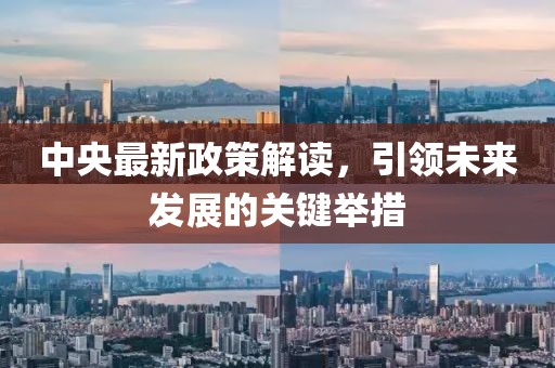 中央最新政策解读，引领未来发展的关键举措