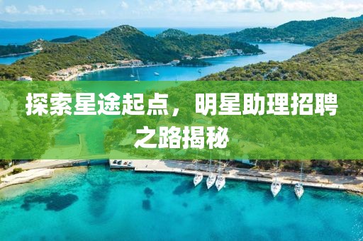 探索星途起点，明星助理招聘之路揭秘