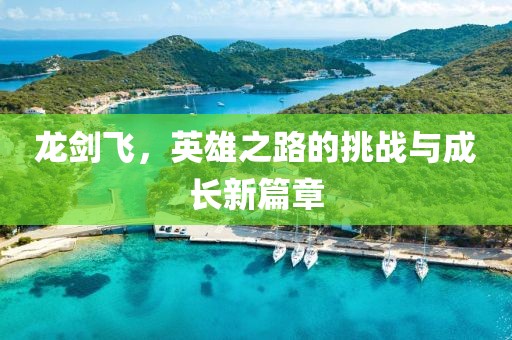 龙剑飞，英雄之路的挑战与成长新篇章