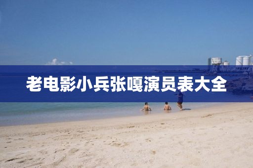 老电影小兵张嘎演员表大全