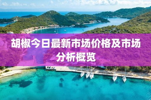 胡椒今日最新市场价格及市场分析概览