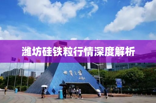 潍坊硅铁粒行情深度解析