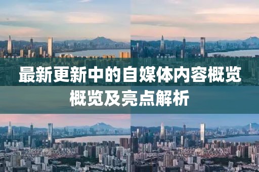 最新更新中的自媒体内容概览概览及亮点解析