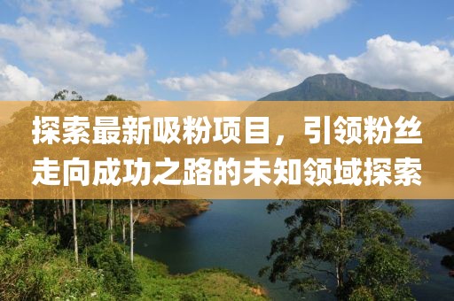 探索最新吸粉项目，引领粉丝走向成功之路的未知领域探索