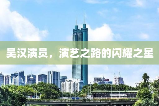 吴汉演员，演艺之路的闪耀之星
