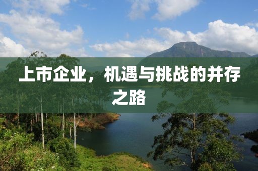 上市企业，机遇与挑战的并存之路