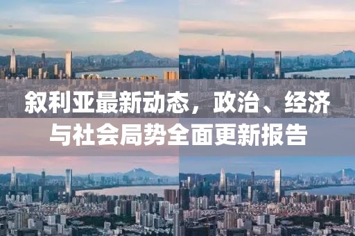 叙利亚最新动态，政治、经济与社会局势全面更新报告