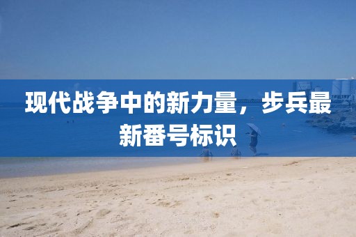 现代战争中的新力量，步兵最新番号标识