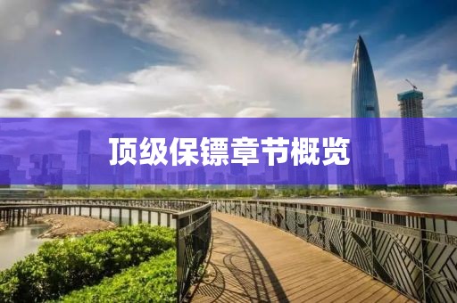 顶级保镖章节概览