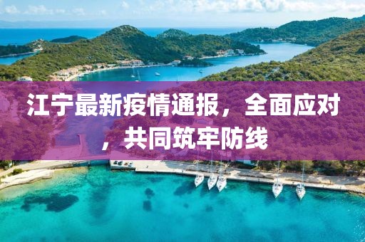 江宁最新疫情通报，全面应对，共同筑牢防线
