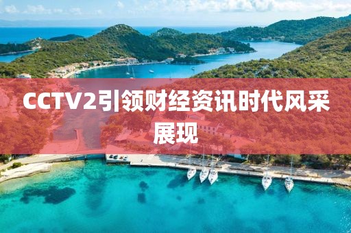 CCTV2引领财经资讯时代风采展现