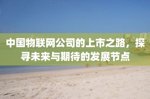 中国物联网公司的上市之路，探寻未来与期待的发展节点