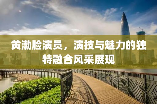 黄渤脸演员，演技与魅力的独特融合风采展现