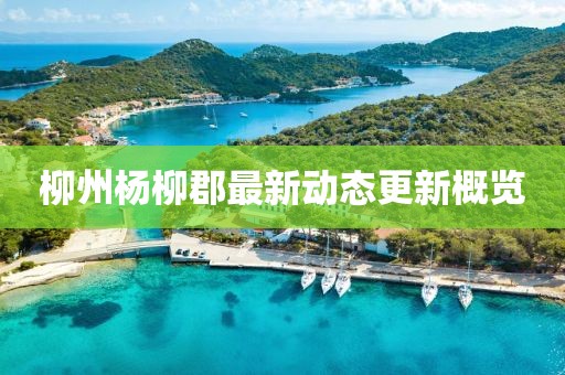 2025年2月 第211页