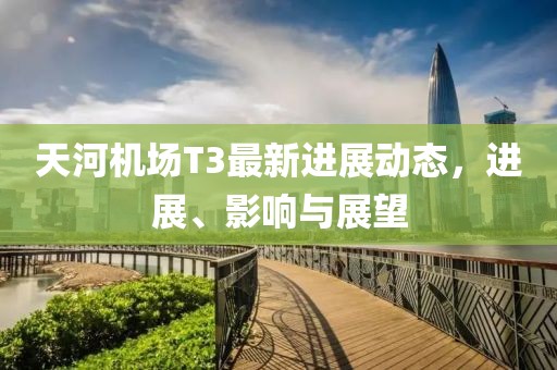 天河机场T3最新进展动态，进展、影响与展望