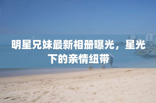 2025年2月 第205页