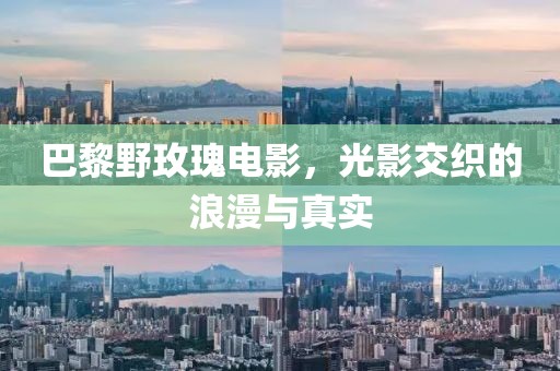 巴黎野玫瑰电影，光影交织的浪漫与真实
