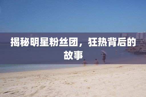 揭秘明星粉丝团，狂热背后的故事