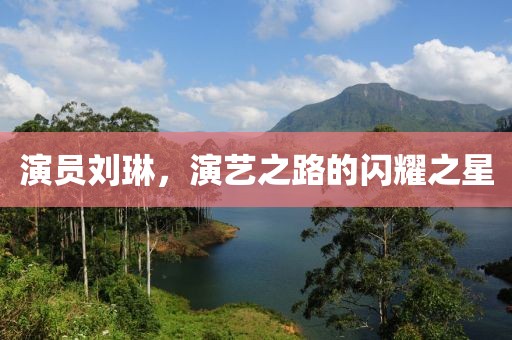 演员刘琳，演艺之路的闪耀之星
