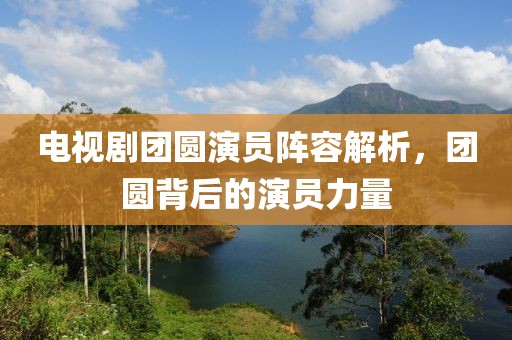 电视剧团圆演员阵容解析，团圆背后的演员力量