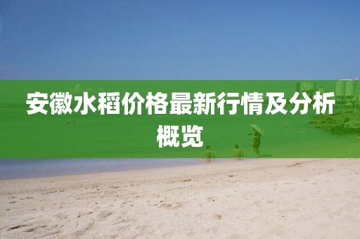 安徽水稻价格最新行情及分析概览