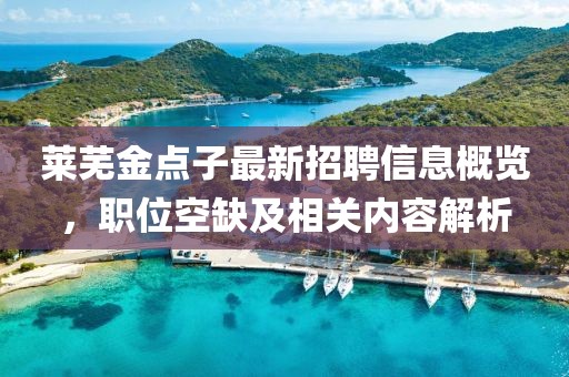 莱芜金点子最新招聘信息概览，职位空缺及相关内容解析