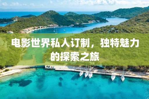 电影世界私人订制，独特魅力的探索之旅