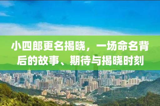 小四郎更名揭晓，一场命名背后的故事、期待与揭晓时刻