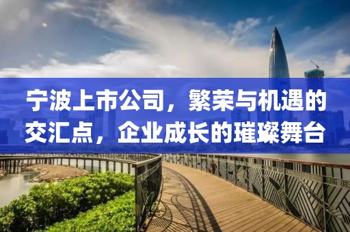 宁波上市公司，繁荣与机遇的交汇点，企业成长的璀璨舞台