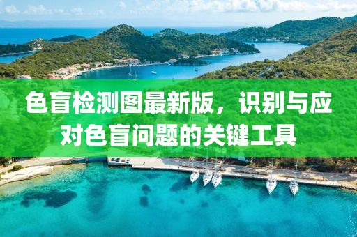 色盲检测图最新版，识别与应对色盲问题的关键工具