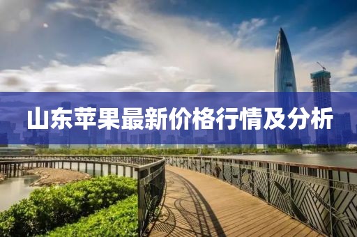 山东苹果最新价格行情及分析