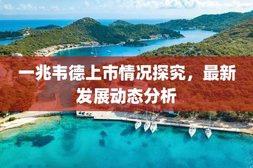 一兆韦德上市情况探究，最新发展动态分析