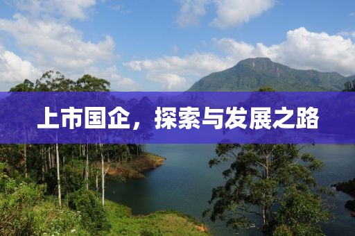 上市国企，探索与发展之路