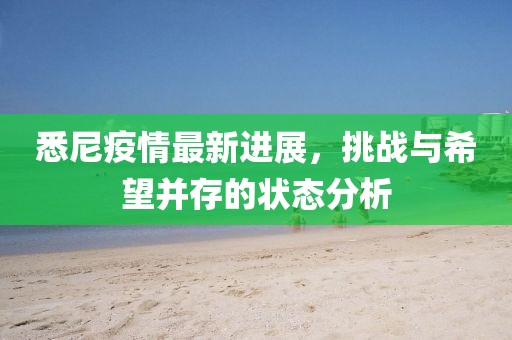 悉尼疫情最新进展，挑战与希望并存的状态分析
