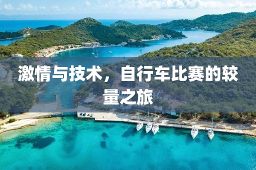 安心 第9页