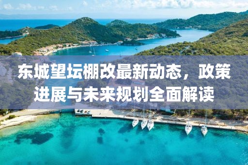 东城望坛棚改最新动态，政策进展与未来规划全面解读