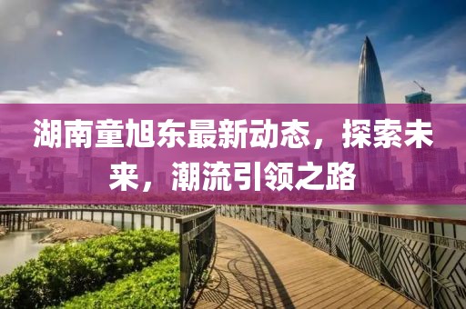 湖南童旭东最新动态，探索未来，潮流引领之路