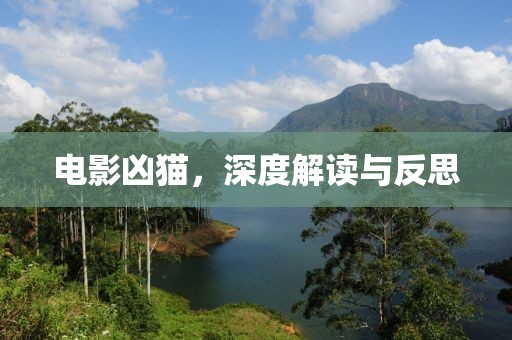 电影凶猫，深度解读与反思