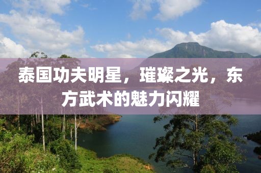 泰国功夫明星，璀璨之光，东方武术的魅力闪耀