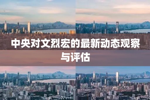 中央对文烈宏的最新动态观察与评估