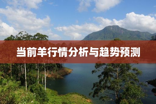 当前羊行情分析与趋势预测