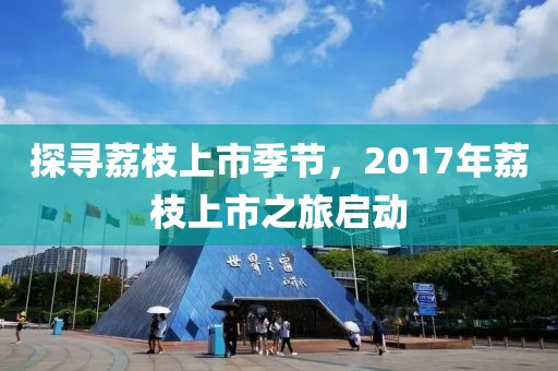 衣库 第6页