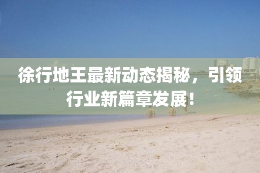 徐行地王最新动态揭秘，引领行业新篇章发展！