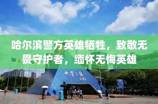 哈尔滨警方英雄牺牲，致敬无畏守护者，缅怀无悔英雄