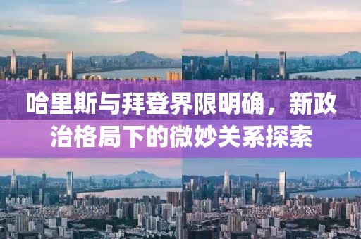 哈里斯首次和拜登明确界限