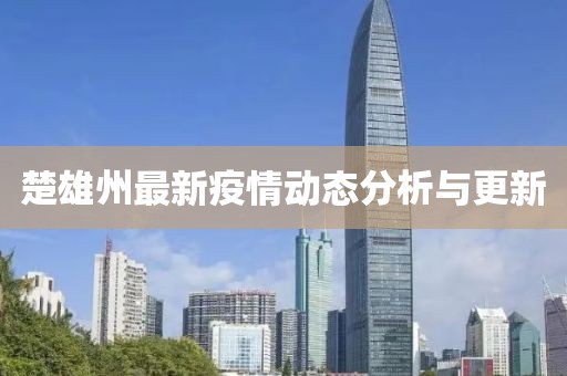 楚雄州最新疫情动态分析与更新