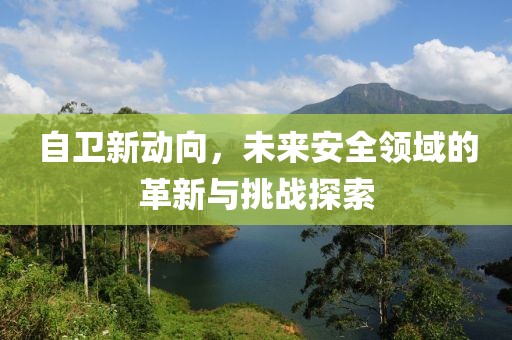 自卫新动向，未来安全领域的革新与挑战探索
