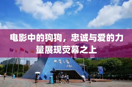 电影中的狗狗，忠诚与爱的力量展现荧幕之上